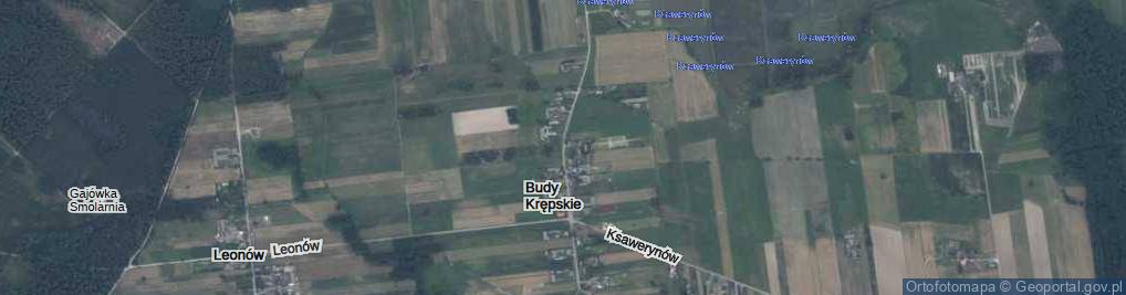 Zdjęcie satelitarne Budy Krępskie ul.